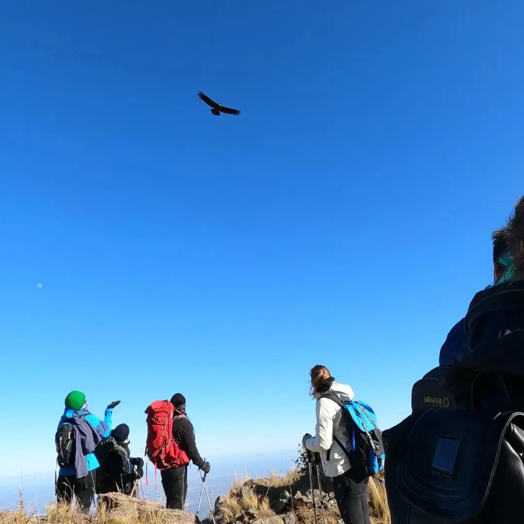 Trekking en las sierras con un cóndor sobrevolando