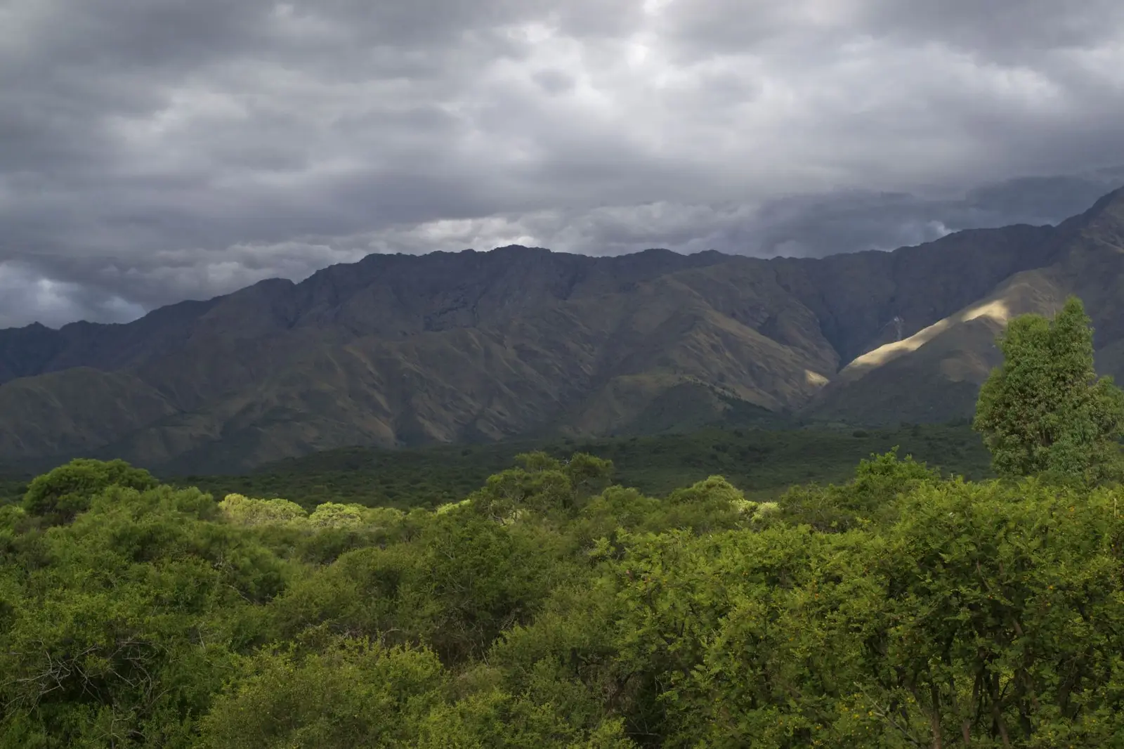 Vista de las Sierras Grandes y el monte nativo