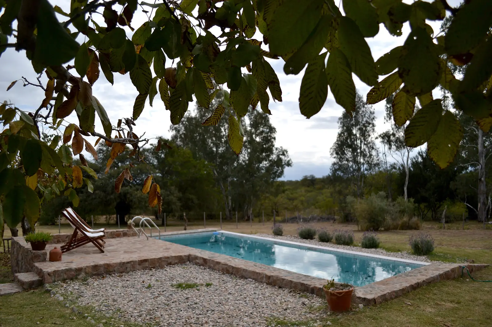 Pileta de uso exclusivo de Casa Lavanda en el parque